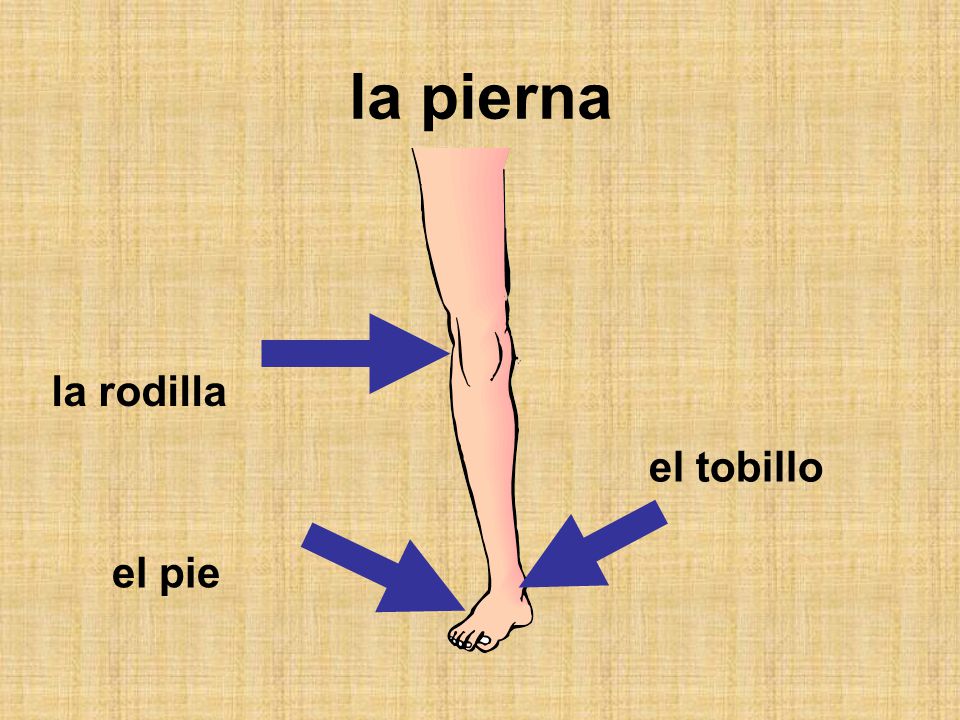 La eflorescencia sobre el cuello se rasca y duele